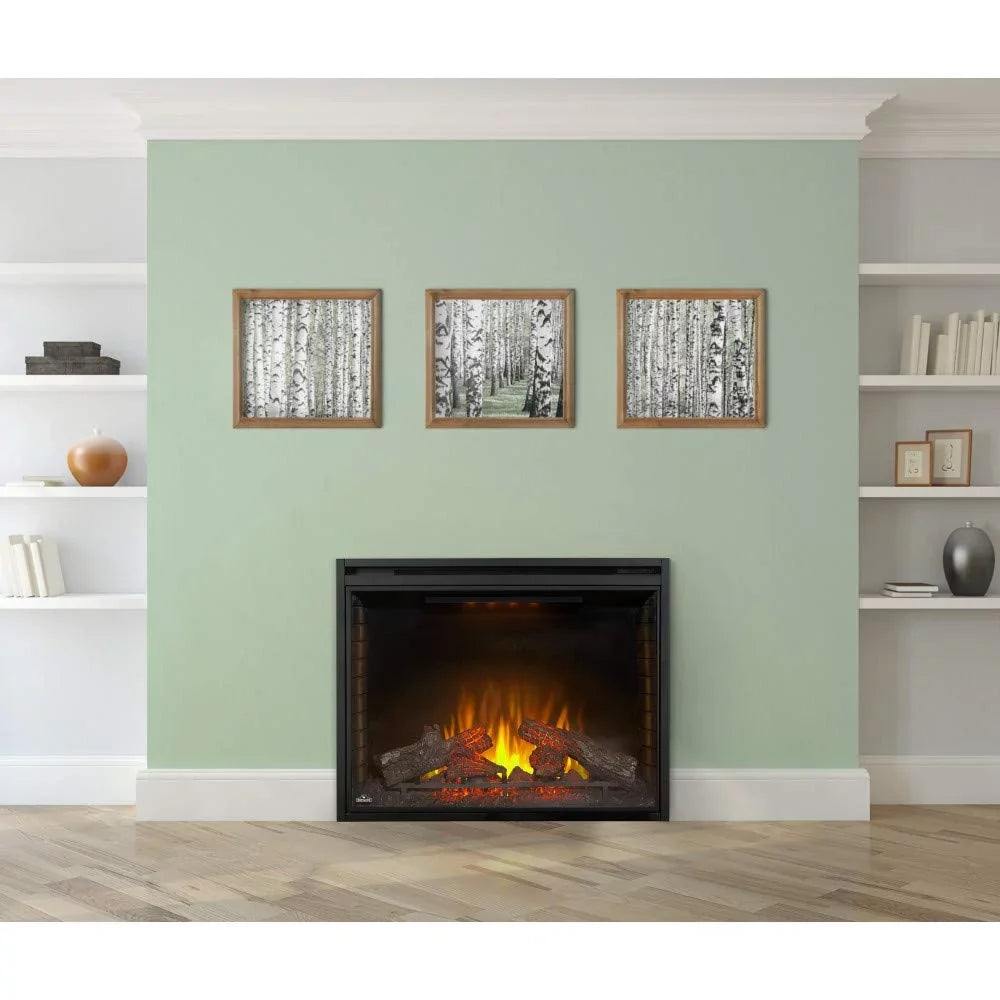 in. 40 Firebox Insert Napoleon Electric Built-in