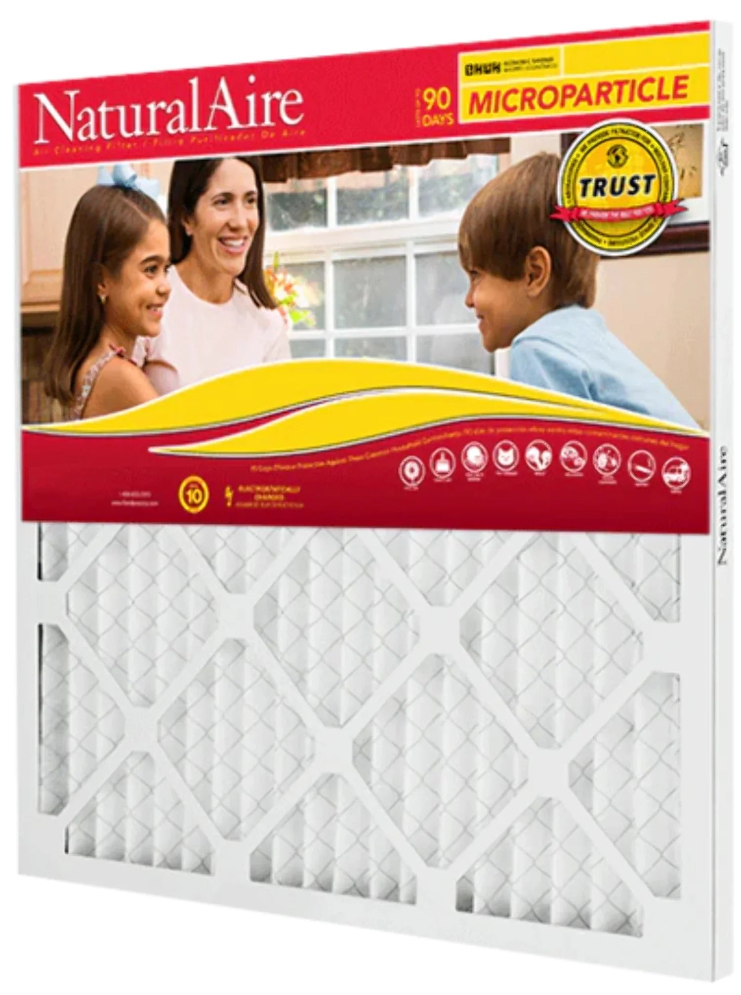 NaturalAire Filters Microparticle 85156.011010 pack) 10x10x1 10 (12 MERV