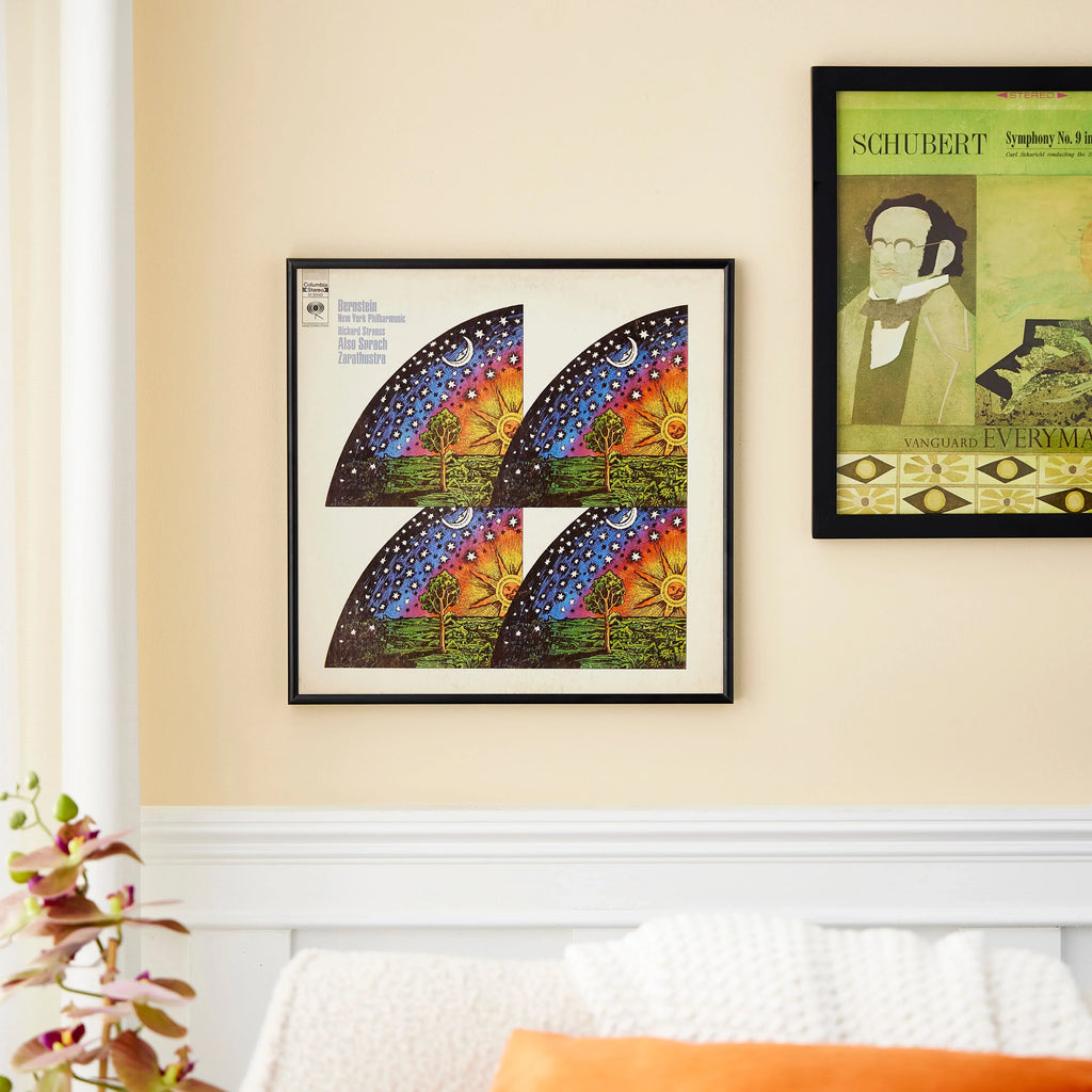 Studio Frame LP - Display - Frame Pack 12 Décor Hardware Picture Includes Album Hanging Black by Vinyl Bulk