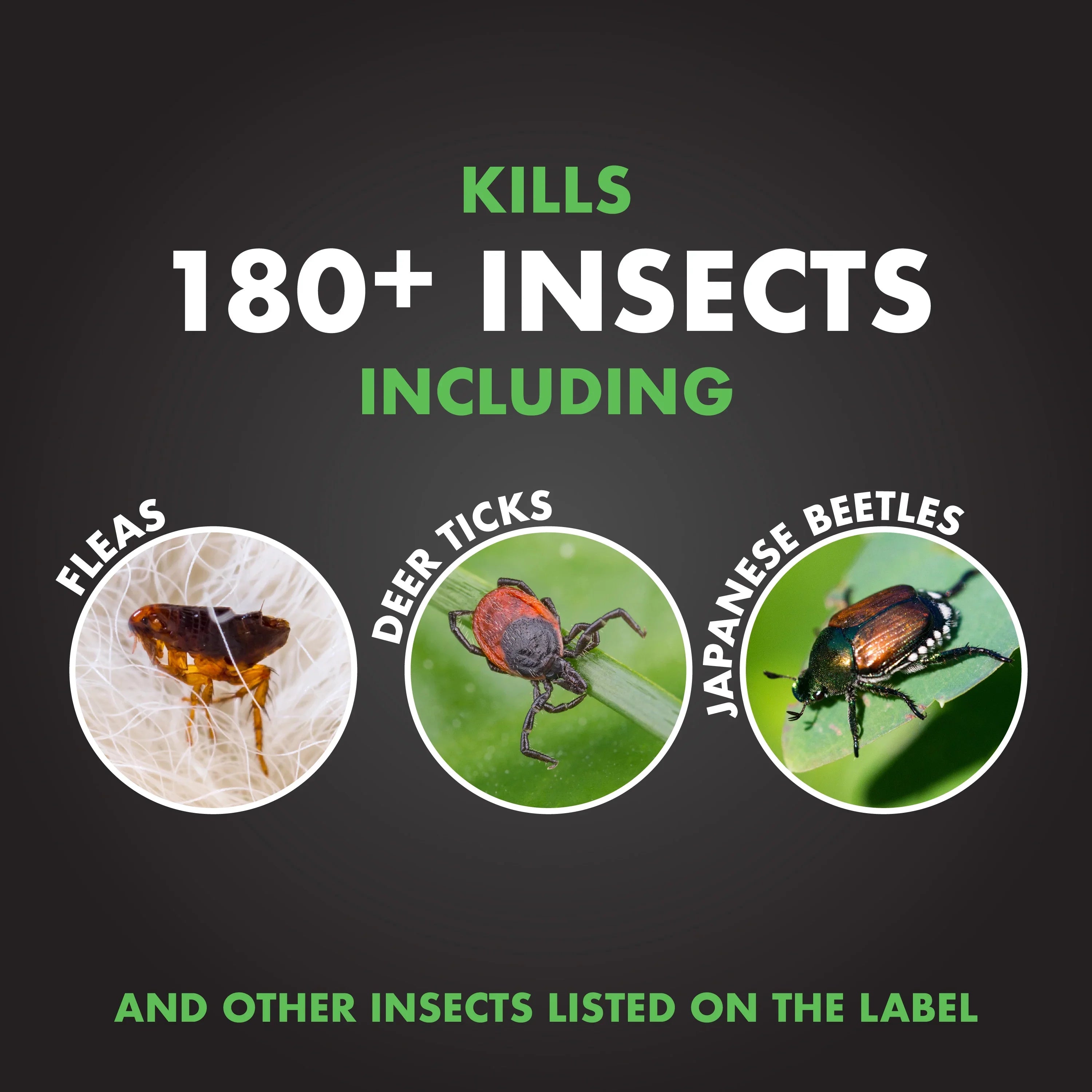 & Spectracide Plus Triazicide Insect Lawns Landscapes Acre Concentrate1 Killer Gallon for