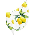 Packed Lemon Wraps Oblong Women Sunscreen Long Hair Wraps Silk Headscarf FREEAMG Shawls Neck for Gift Large Scarf