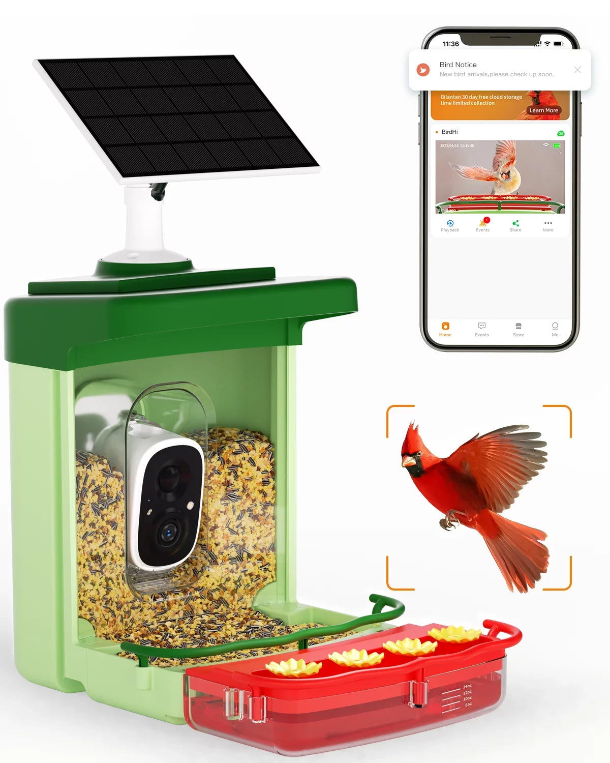 Gift Anyone Feeder 1 in 2 Feeders Bird Ideal Hummingbird Camera, AI with Camera, Bird HD Close-Ups Capture Camera Birds for with of Species, Auto 3MP with Identify Unique
