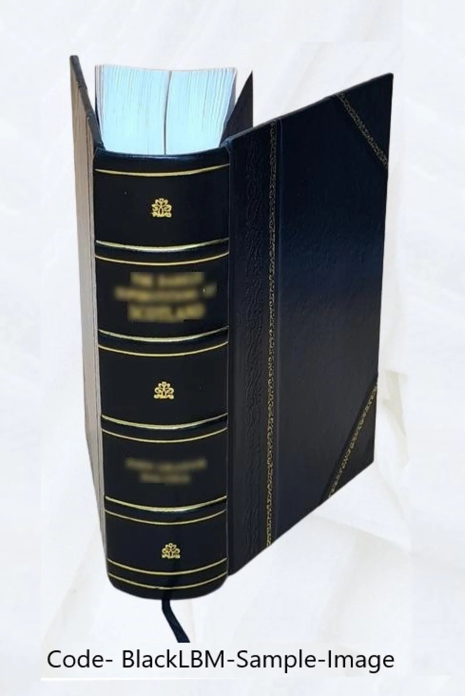 7 Isocratem ab Isokratous Steph. kai orationes VVolfij, diatribæ Cum Logoi epistolai. Henr. postremùm et epistolae. Hier. quarum Isocratis ipso interpretatione In Latina recognita.