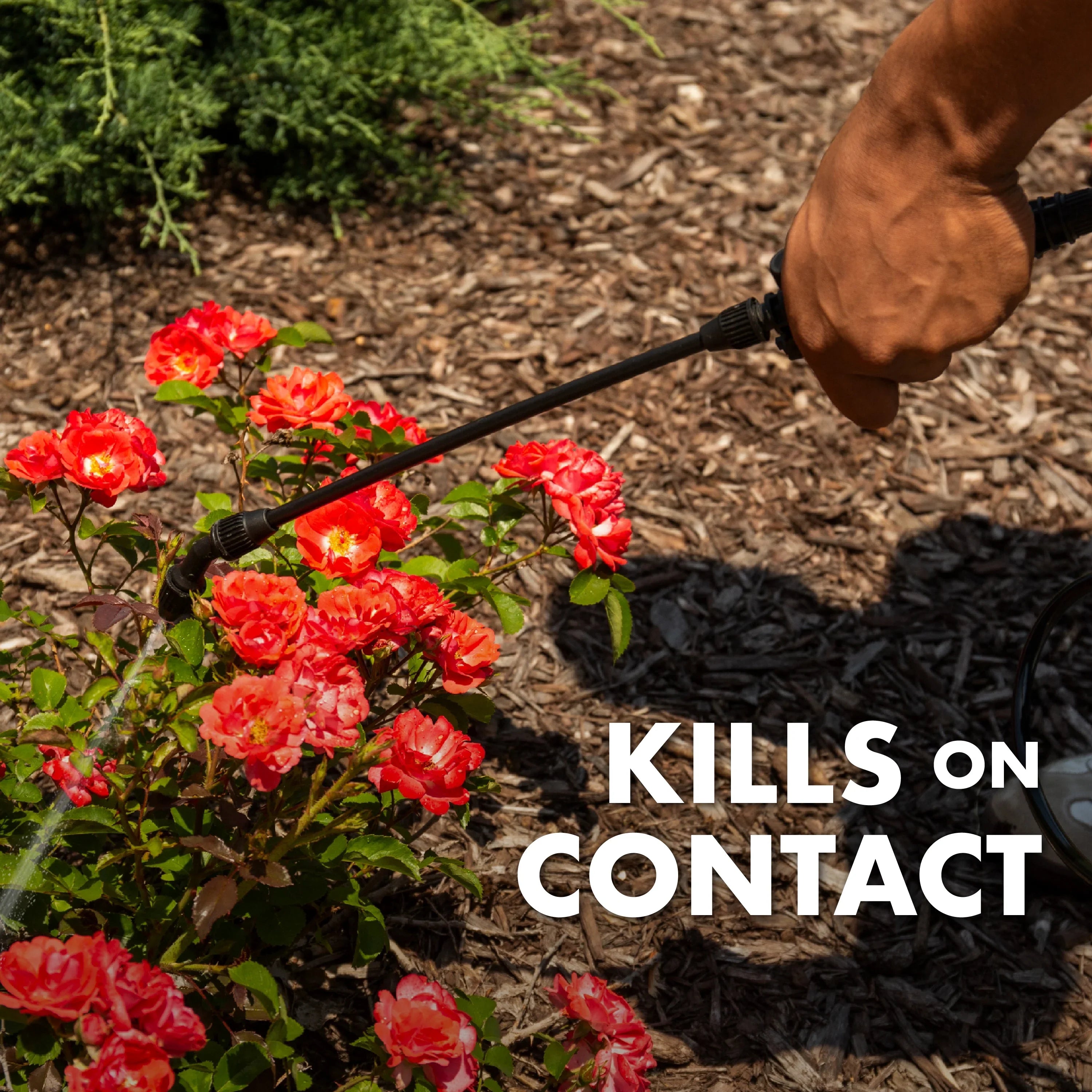 & Spectracide Plus Triazicide Insect Lawns Landscapes Acre Concentrate1 Killer Gallon for