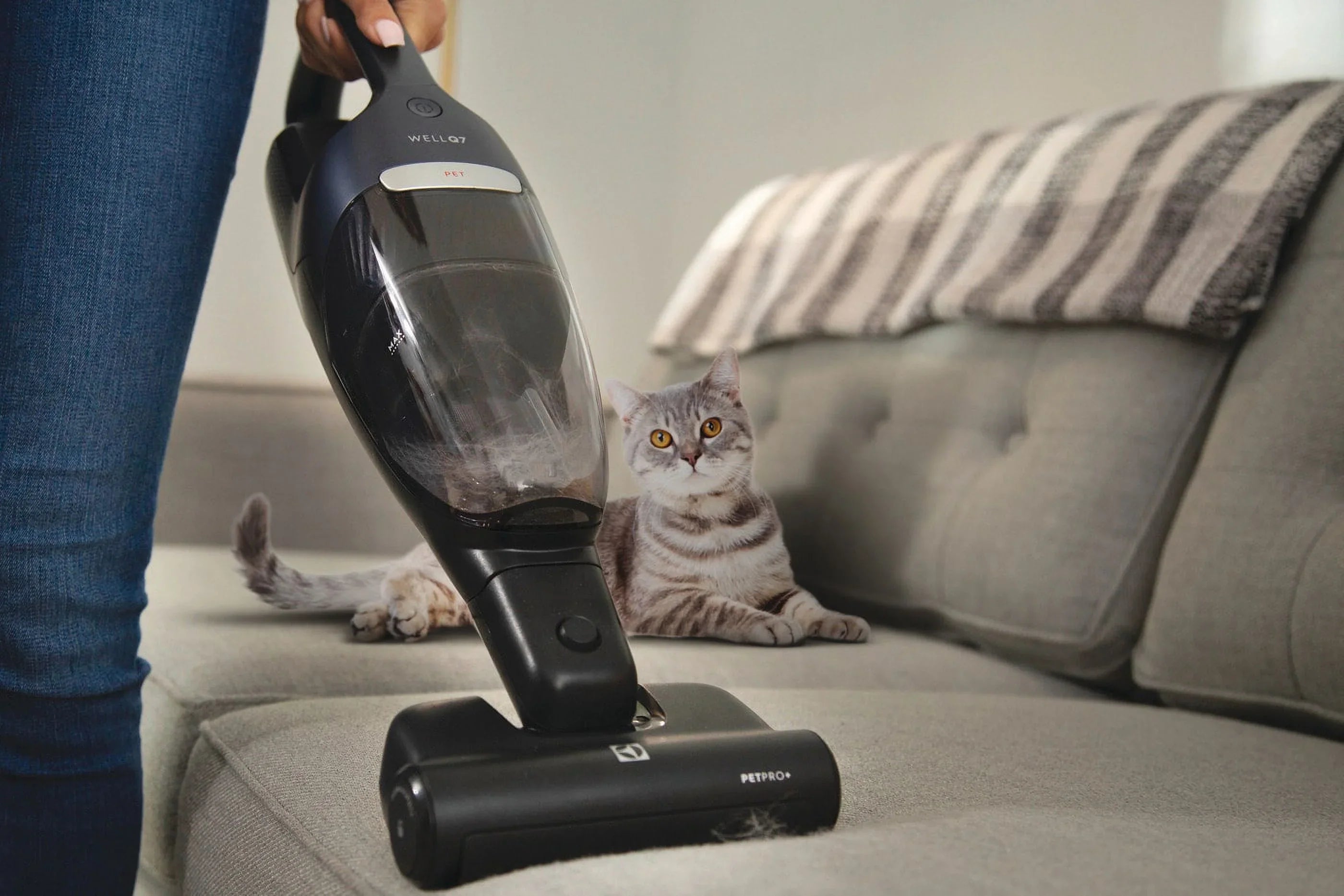 Pet Vacuum WellQ7™