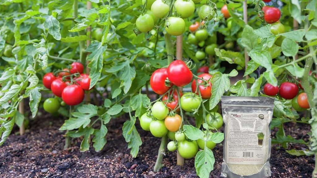 The ph 45 Pounds Soil Potassium Keep Regulate Plant Moisture Polyacrylate of and for