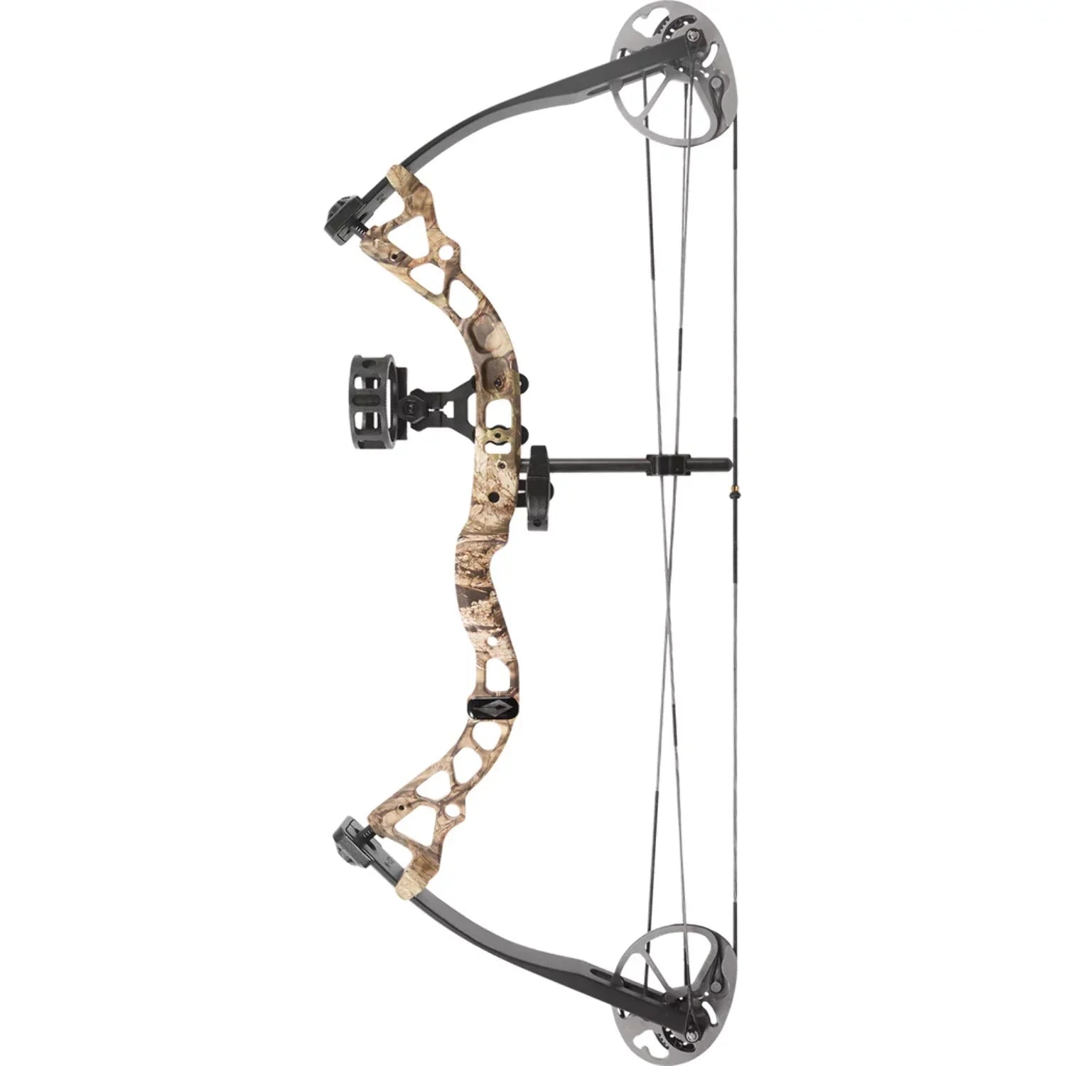 12-24In. 29Lb Rh Package Purple Atomic Bow Diamond