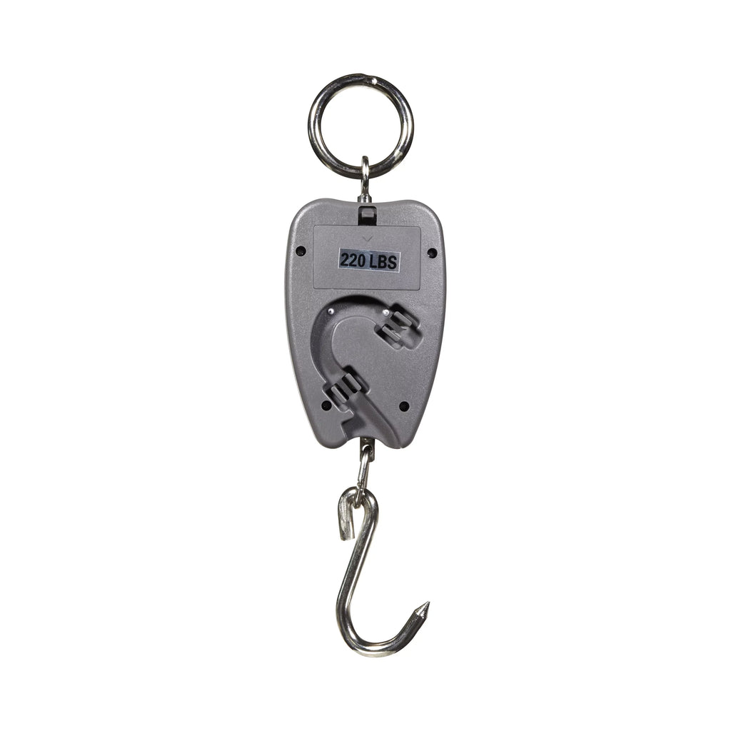 Bow Gray lbs., Scale, Newton 15836, Digital ABS 220 K’netix Plastic,