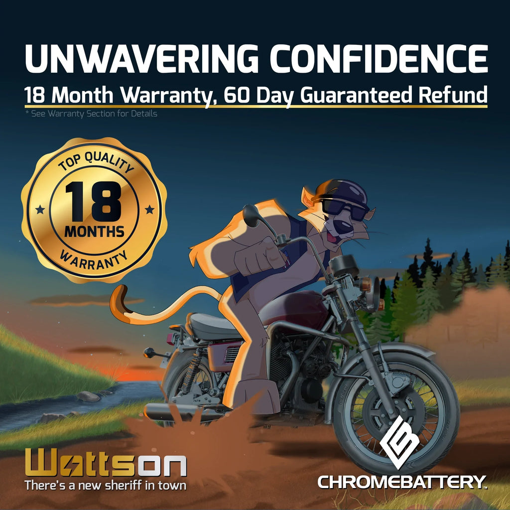 Battery CCA) Wave Volt,14 2002 (16L-BS Ski YTX16L-BS Yamaha Chrome Runner Ah, Battery 230 12 for Jet