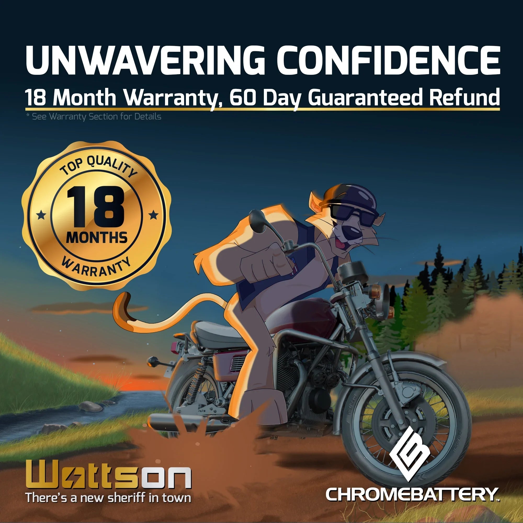 Battery CCA) Wave Volt,14 2002 (16L-BS Ski YTX16L-BS Yamaha Chrome Runner Ah, Battery 230 12 for Jet