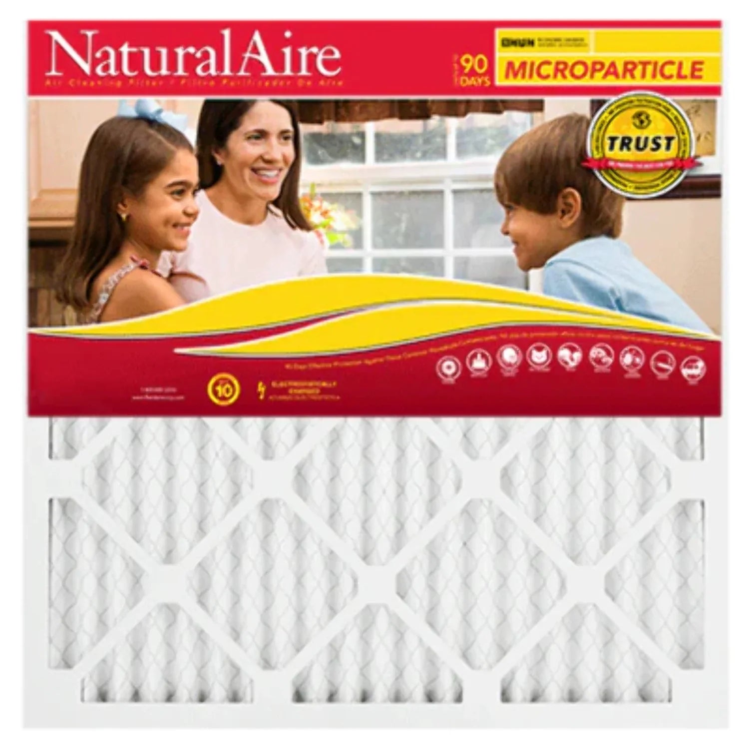 NaturalAire Filters Microparticle 85156.011010 pack) 10x10x1 10 (12 MERV