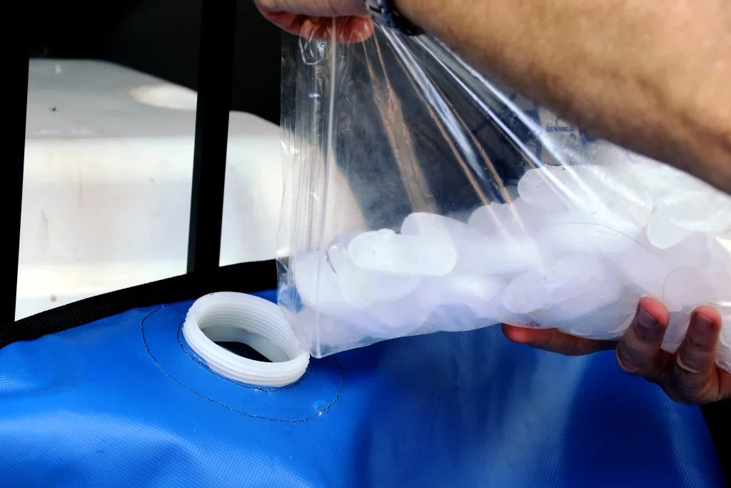 Bladder liquid Storage