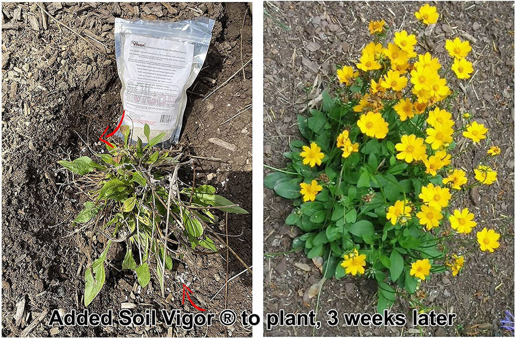The ph 45 Pounds Soil Potassium Keep Regulate Plant Moisture Polyacrylate of and for