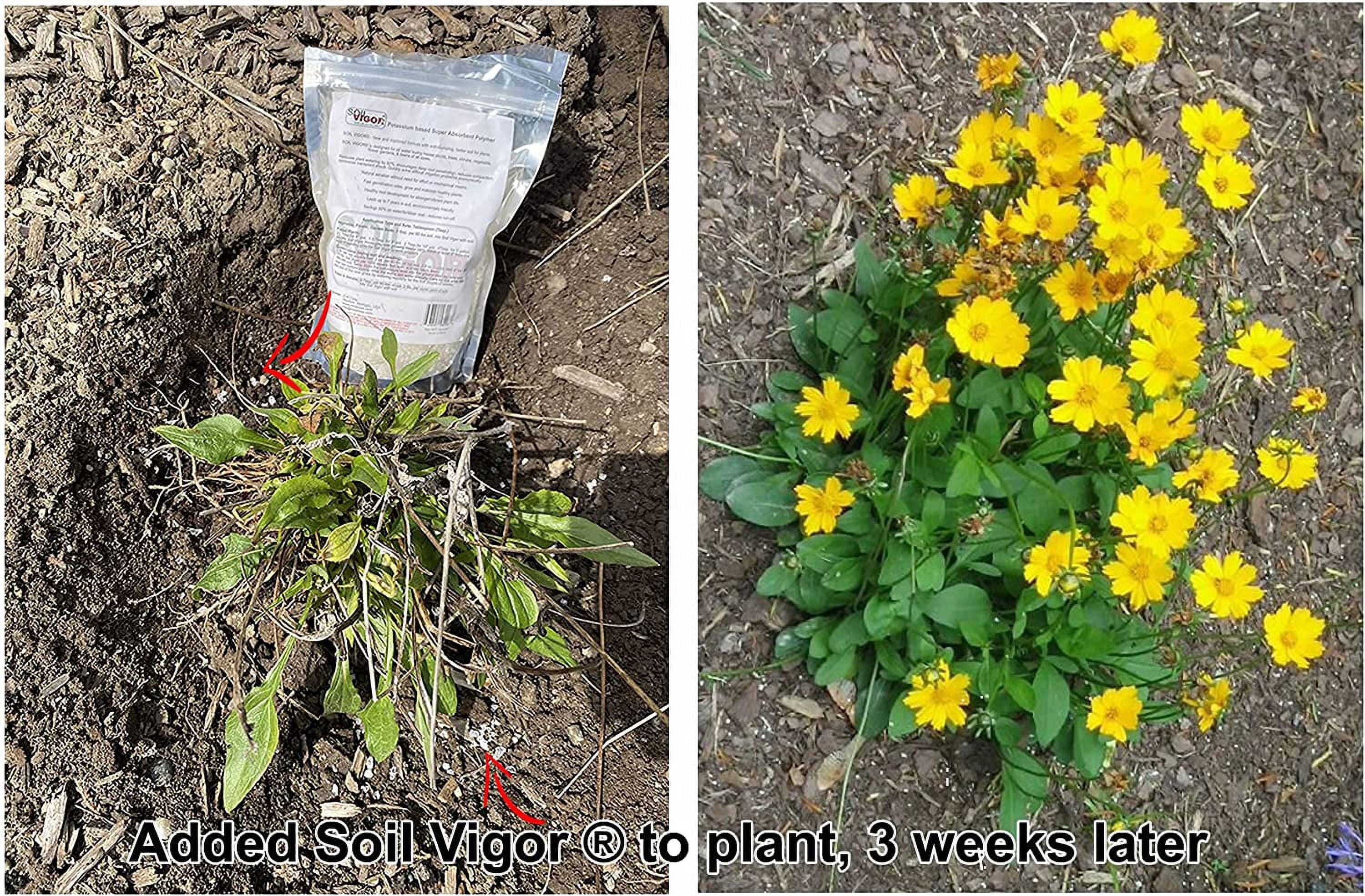 The ph 45 Pounds Soil Potassium Keep Regulate Plant Moisture Polyacrylate of and for