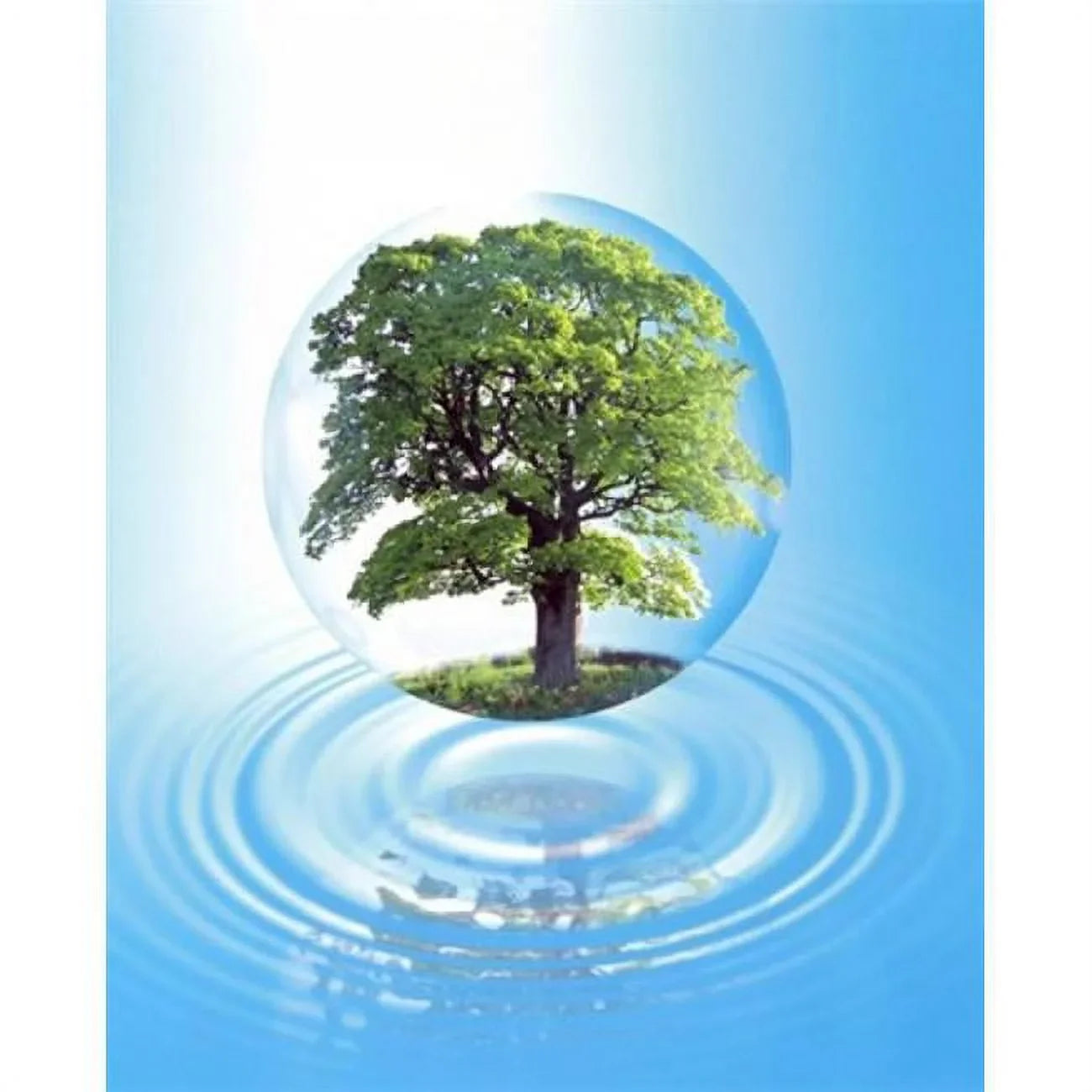 with 20 floats large Poster a A sphere a Print with clear 24 liquid by full x ring reflection over - tree