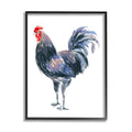 Art Framed on Stupell Black Animals Insects Print Portrait Industries Rooster Wall 20 Art, & White Painting x 16