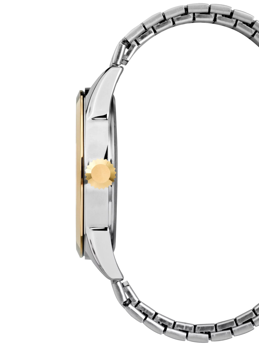 Briarwood Men's Steel Two-Tone Watch, Expansion Stainless Band