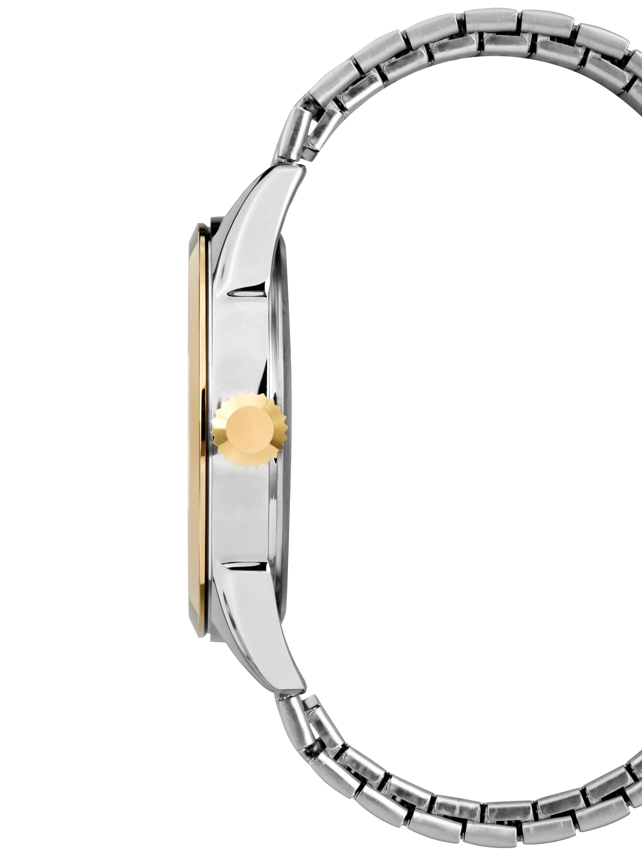 Briarwood Men's Steel Two-Tone Watch, Expansion Stainless Band